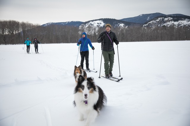 Winter Elopement Itinerary – with Dogs!